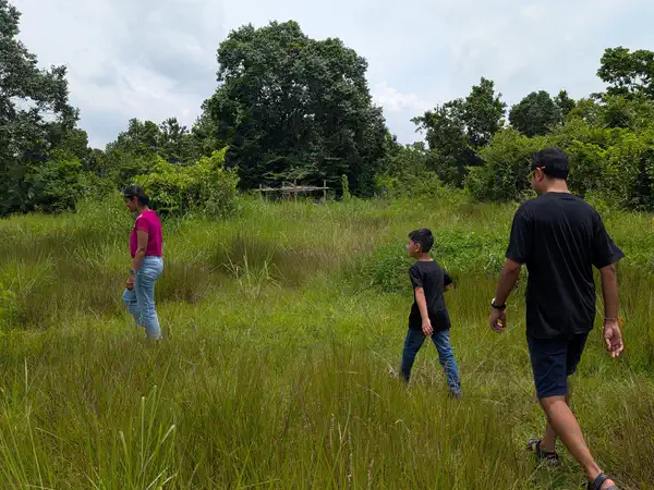 Family walking through tall grass near the resort