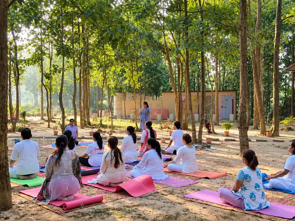 Guests practising yoga on mats in the forest