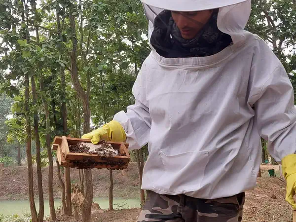 Beekeeper in a protective suit tending a hive