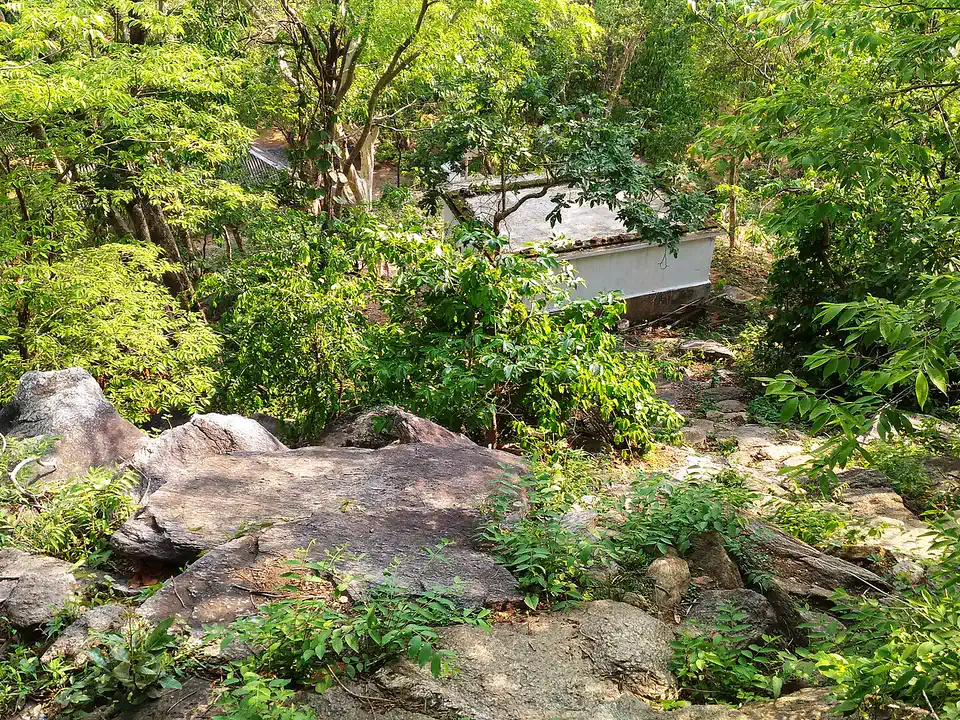 Rocks and green forest seen from a hilltop in Belpahari