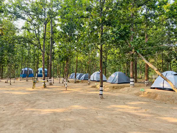 Tents set among the forest trees at Sobuj Thikana