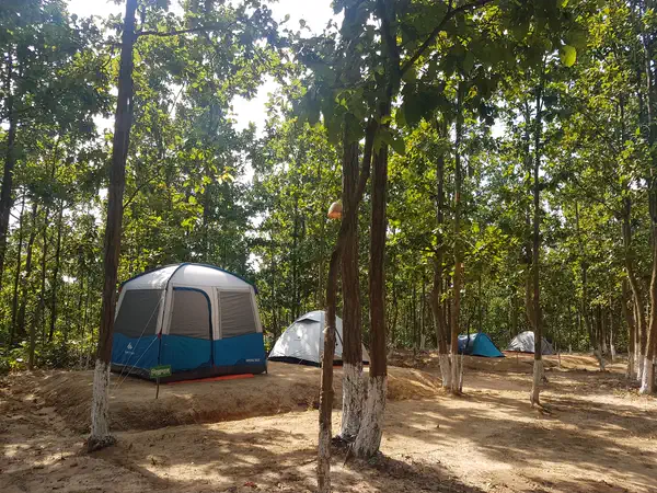 Camping tent among the trees